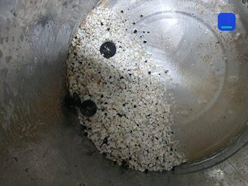 수서동 하수구막힘 상가 변기 배수 불량 조치